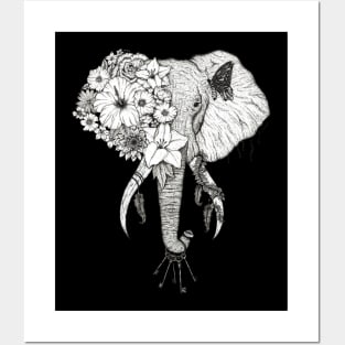 Elephant Black Background Posters and Art